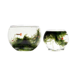 BONİSA FANUS EKONOMİK FA.AKV.002 F2 KÜÇÜK ( 18 CM )